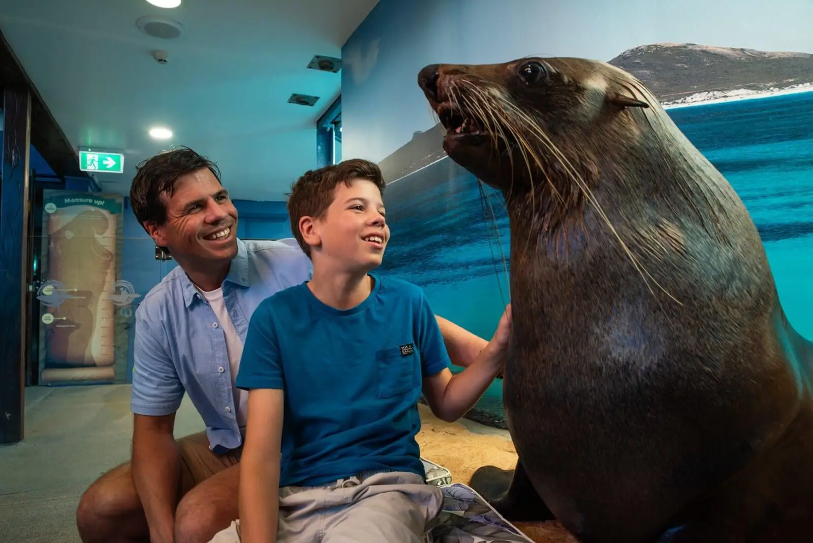 Sea Life Mooloolaba Sunshine Coast