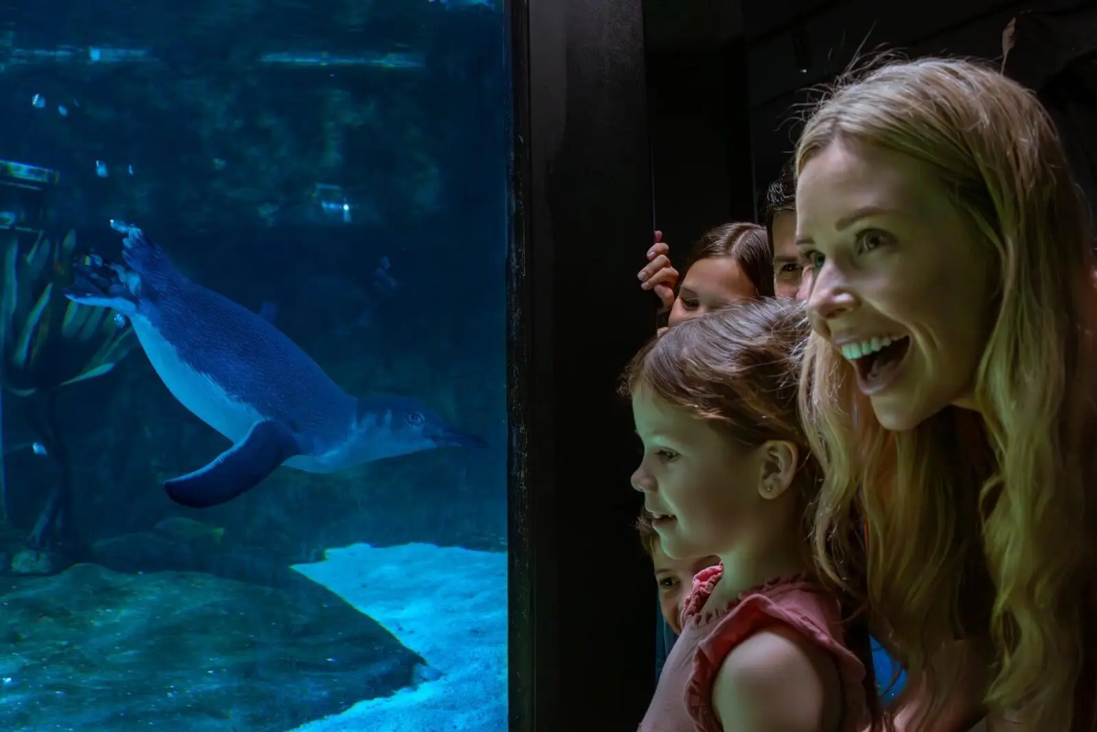 Sea Life Mooloolaba Sunshine Coast